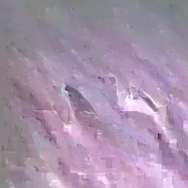 Brighton 1573 slika 1